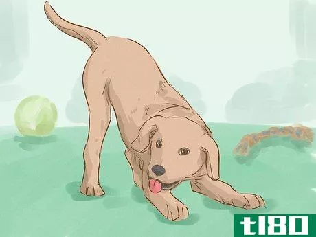 Image titled Look Friendly to Dogs Step 10