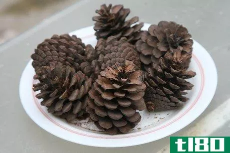 Image titled Make Scented Pine Cones Step 8