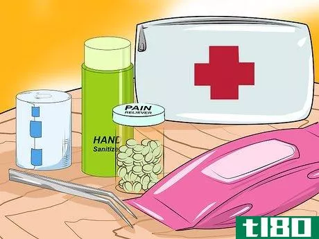 Image titled Make an Emergency Kit for Teenage Girls Step 10