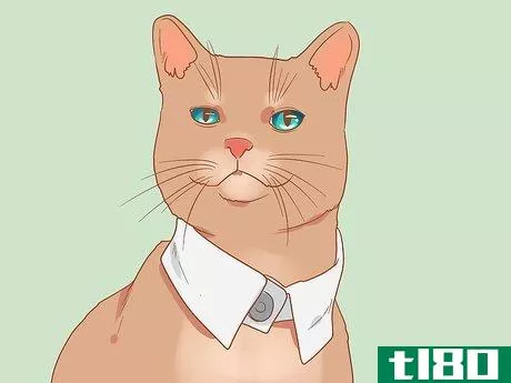Image titled Make a Cat Collar Step 29