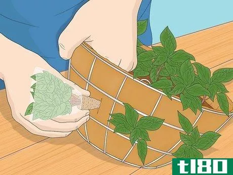 Image titled Make a Moss Hanging Basket Step 13