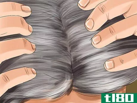 Image titled Maintain Silver Hair Step 15