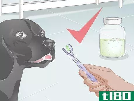 Image titled Make Dog Toothpaste Step 17