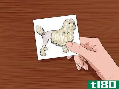 Image titled Make Lost Pet Signs Step 1
