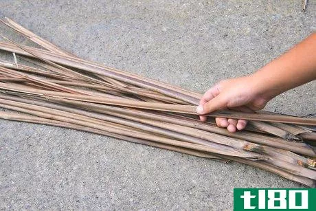 Image titled Make a Broom Using a Coconut Leaf Step 4