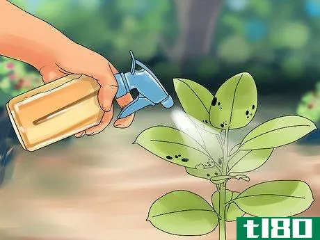 Image titled Make Organic Pesticide Step 25