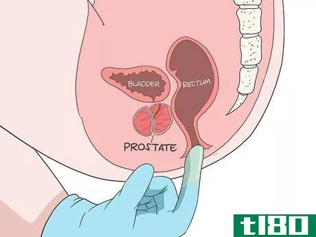 Image titled Locate Your Prostate Step 7