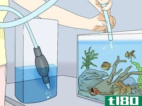 Image titled Lower Ammonia Levels in Your Fish Tank Step 2