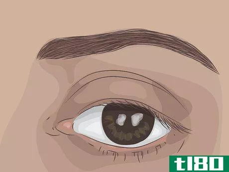 Image titled Make Eyebrows Darker Step 1