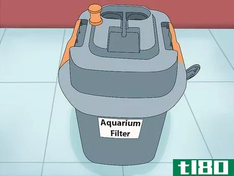 Image titled Lower Ammonia Levels in Your Fish Tank Step 5