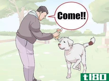 Image titled Live with a Dog with a High Prey Drive Step 2