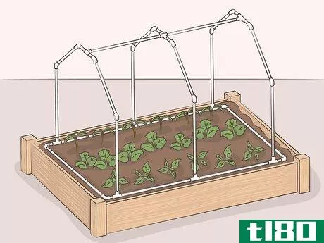 Image titled Make a Mini Greenhouse Step 13