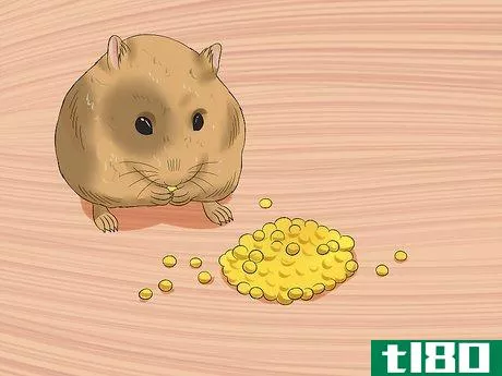 Image titled Make Baby Dwarf Hamster Food Step 11