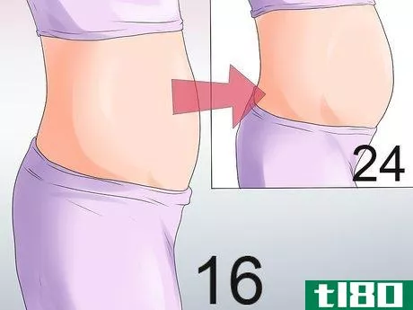 Image titled Learn More About Pregnancy Trimesters Step 21