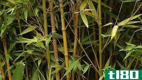 Image titled Make a Bamboo Flute Step 2
