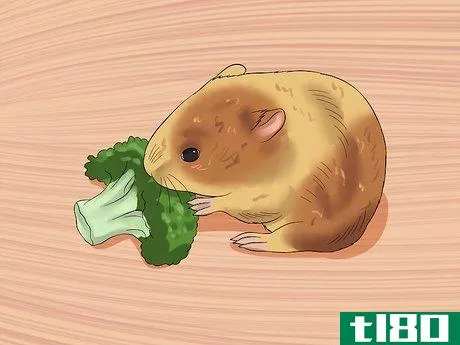 Image titled Make Baby Dwarf Hamster Food Step 3