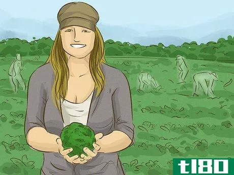 Image titled Make Money Growing Vegetables Step 9