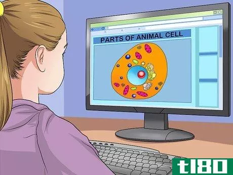 Image titled Make an Animal Cell for a Science Project Step 2