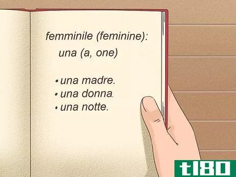 Image titled Learn Articles in Italian Step 10