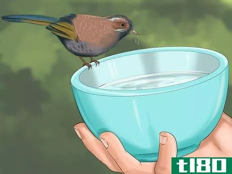 Image titled Make Baby Bird Rescue Food Step 1