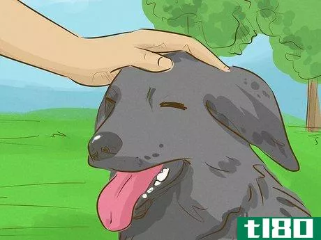Image titled Look Friendly to Dogs Step 5