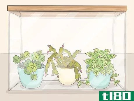 Image titled Make a Mini Greenhouse Step 4