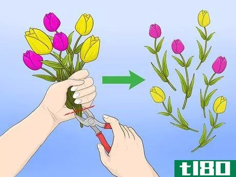 Image titled Make a Tulip Wreath Step 3