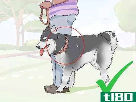 Image titled Live with a Dog with a High Prey Drive Step 10