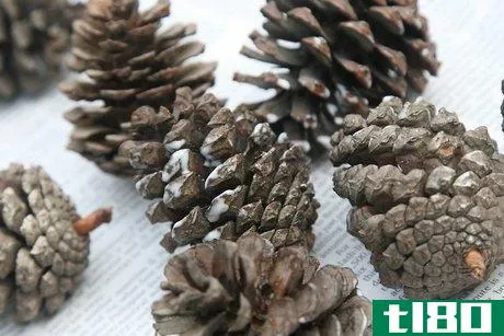 Image titled Make Scented Pine Cones Step 14