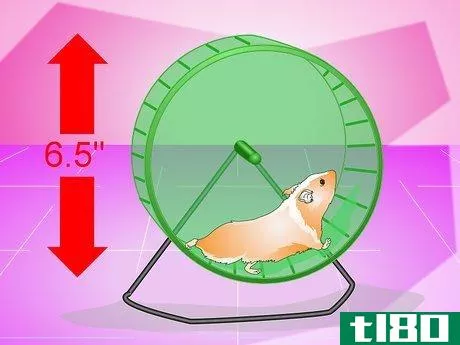 Image titled Make Your Hamster Live Longer Step 13