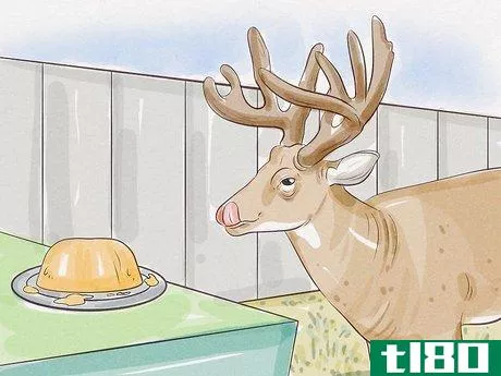 Image titled Make Homemade Deer Food Step 10