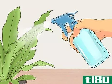Image titled Make Organic Pesticide Step 12