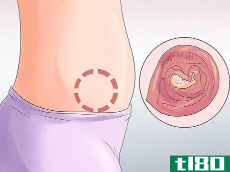 Image titled Learn More About Pregnancy Trimesters Step 20