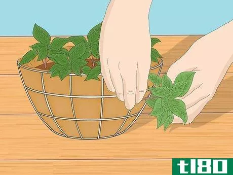 Image titled Make a Moss Hanging Basket Step 10