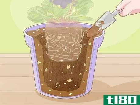 Image titled Make African Violet Soil Mix Step 8