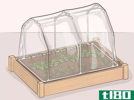 Image titled Make a Mini Greenhouse Step 14