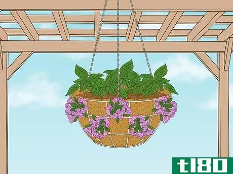 Image titled Make a Moss Hanging Basket Step 1