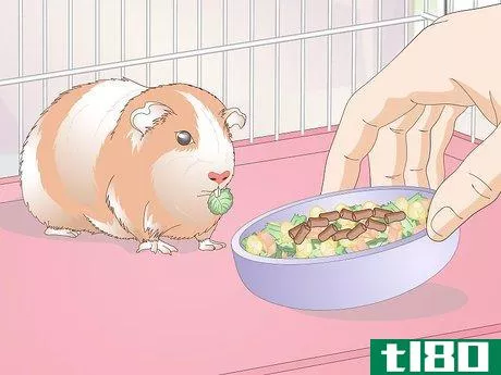 Image titled Make Guinea Pig Food Step 7
