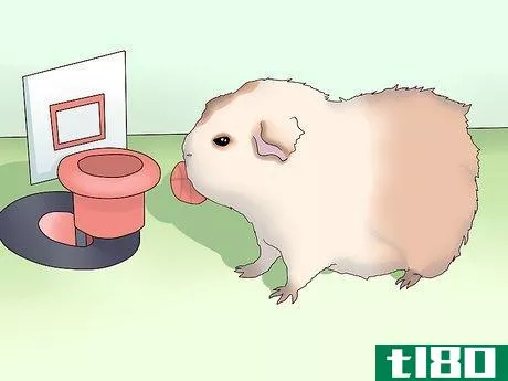 Image titled Make Sure Your Guinea Pig Is Happy Step 15