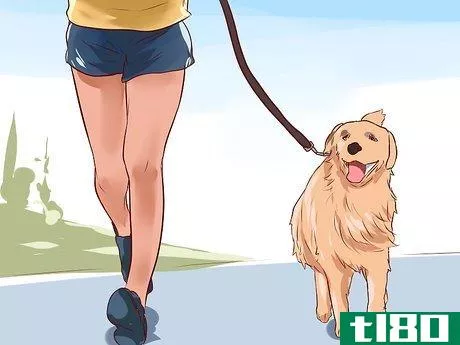 Image titled Love Your Dog Step 1
