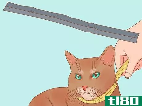 Image titled Make a Cat Collar Step 21