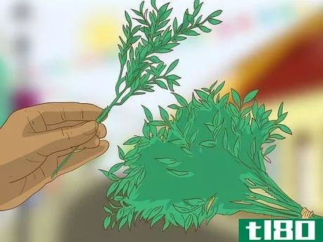 Image titled Make a Boxwood Wreath Step 9