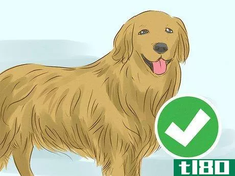 Image titled Look Friendly to Dogs Step 9