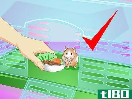 Image titled Make Your Hamster Live Longer Step 4