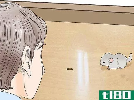 Image titled Let a Chinchilla out of its Cage Step 4