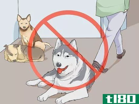 Image titled Live with a Dog with a High Prey Drive Step 9