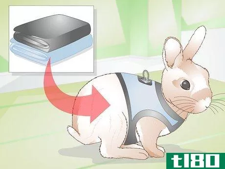 Image titled Make Your Rabbit a Leash Step 14
