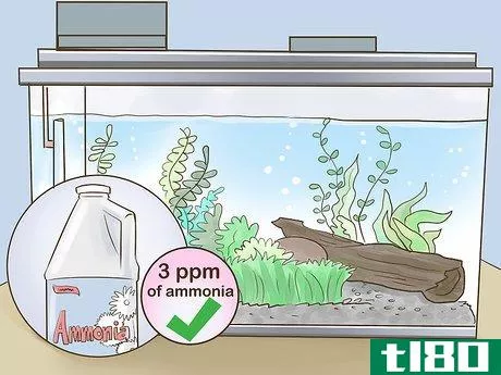 Image titled Pick Freshwater Plants Step 5