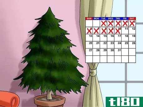 Image titled Plant a Living Christmas Tree Step 2