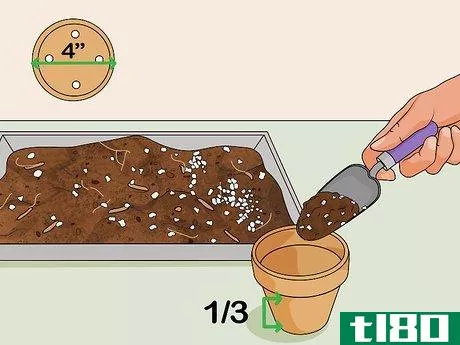 Image titled Build a Hydroponic Garden Step 11